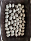 1 2-ounce New Egg Sinkers - Lot Of 50-2 10  Lbs 