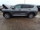 Santa Fe  2019 Antenna 11766074