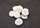 Sea Cookie Sand Dollars White Olypeaster  10 Sea Cookies Approx  1  Inches 