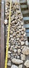 10 Lb Lot Of Miniature Texas Unique Shaped Limestone  aquarium terrarium display