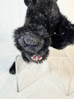 Black Cat Webkinz Rare Retired Mint Condition  Sealed Tag   Unused Code