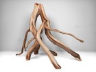 Curvy 20 5  Manzanita Aquarium Driftwood  Aquascape  Reptiles  Home D  cor