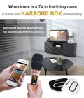 Evasing Wireless Wifi Ktv Karaoke Microphone Airplay Miracast Gift  white 2mic 