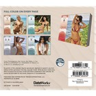 Trends International   Sports Illustrated Swimsuit 2026 Desk Calendar