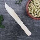 New Buffalo Bone Letter Opener 9  Athame Solid Natural Ivory Color Carved Knife 