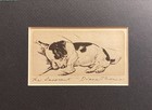 Sealyham Terrier - Matted   Framed   Ready To Gift - 1936 Vintage Dog Art Print