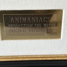 Original Animaniacs Animation Art Cel Production Background Original Drawing