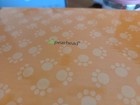 Pet Memory Box Wood Urn With Paw Print Kit For Dog Or Cat Keepsake