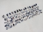 100 Mussel Sea Shells Xxs Bulk Lot For Beach Decor Creative Projects From Oporto