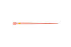 Dentsply B00pggpf000f1 Protaper Gold Conform Fit Gutta Percha Points F1 60 pk