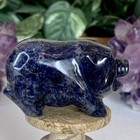 Carved Stone Pig Animal Carving Blue Sodalite Gemstone Pot Belly Pig Figurine