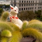 New Nine-tailed Fox Figurine Statue Home Desktop Collectible Pendant Decoration 