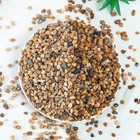 Aquarium Gravel 20 Lbs 3 6mm Fish Tank Gravel Succulent