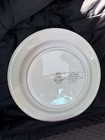 Vintage Vinoy Hotel St Petersburg  Fl  12    Replica 1925 Plate Blue green Euc