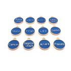 Blue Enamel And Gold Zodiac astrology Charms  15x12mm - Us Seller