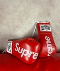 Supreme Everlast Boxing Gloves Red Punching Gloves Ss16 Mike Tayson Muhammad Ali