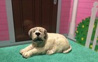 Mastiff Decorative Dog Figurine For Home Decor