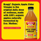 Bragg Organic Apple Cider Vinegar With The Mother  Raw And Unfiltered  32 Fl Oz