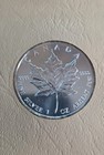 2001 Canada 5 Dollars Silver Maple Leaf Coin 1 Oz Fine Silver