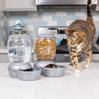 Automatic Water Dispenser Cat Dog Bowl Plastic Portable Gravity Waterer Feeder