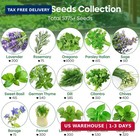 15 Herb Seeds Variety Pack   5 700  Non-gmo Heirloom Seeds For Planting Indoor  