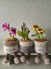 Greenhouse By Russ Potted Plant Flowers Plush Set 3-pack Great Condition