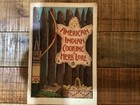 American Indian Cooking And Herblore  1st Printing Vintage Cookbook Paperback