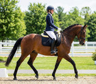 Dressage Saddle Pad  English Saddle Pad With Sheepskin Trim  Lambskin