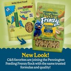 Fresh Suet Nuggets Wild Bird Food 27oz Outdoor Feeder Treat For Birds