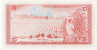 Kenya 5 Shillings 1978  P-15 Central Bank  Pack Fresh Unc Grade
