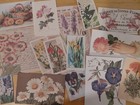 30  Pieces Floral Vintage Ephemera  Flowers  Botanical Junk Journal  Collage