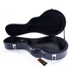 Glarry Protable F-style Mandolin Artificial Leather Wood Hard Shell Case Black