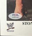 Wwe Stone Cold P-644 Signed 8x10 Original Promo Photo 316 With Psa Coa From 2003