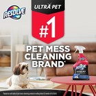 Ultra Pet Odor And Stain Remover Spray     Carpet Cleaner For Cat And Dog Urine   