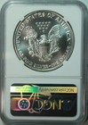 1991 American Silver Eagle   Ngc Ms69   No Spots Premium Quality