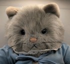 Nwt Vintage Eden Beatrix Potter - The Tale Of Tom Kitten - Gray Cat 14    Plush