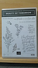 Stampin Up Beauty Of Tomorrow Bundle - Stamp Set Plus Dies  1 Die Missing