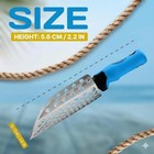 Ckg Hand Sand Scoop For Metal Detecting With Ergonomic Blue Handle