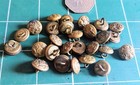 2 Original Wwi wwii General Service Cap Buttons  Small In Pairs  See Description