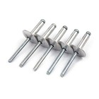 60pcs Large Flange Blind Rivets  3 16  5 8  4 8 16mm -60pcs Silver