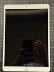 Apple Ipad Pro  10 5-inch  Model A1701 64 Gb  Wi-fi  10 5 In - Rose Gold