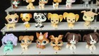 Lps Many Dogs  Choose Your Littlest Pet Shop Original Animals  Hasbro  Vintage 