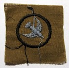 Rare 1920 Girl Scout Khaki Bird Hunter Badge Avian Finder Patch Cinnamon - New 