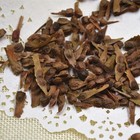 25pcs Red Japanese Maple Seeds  Acer  palmatum Atropurpureum  