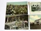 9 Vintage Postcards Cotton Picking South