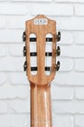 Cordoba Gk Studio Negra  Nylon String Acoustic-electric Guitar - Spruce