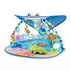 Disney Baby Finding Nemo Mr  Ray Ocean Lights Activity Gym