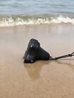 6lb Kayak Radius Anchor - Anchor Wizard