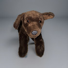 Animal Alley Toys R Us Chocolate Brown Lab Puppy Dog Plush Stuffed Animal 2000
