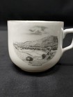 Antique Souvenir Cup Colebrook New Hampshire Nh Porcelain Early 1900s